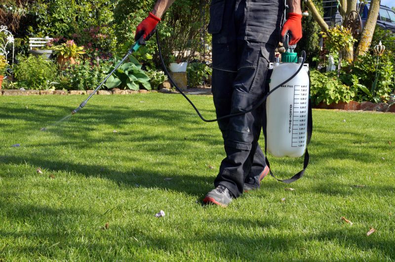 Crabgrass Prevention in Rockwall, TX